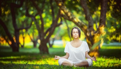 kaiyun登录-梅西七场封神、哈兰德曼联登顶，湖人却迷失德甲迷雾——体坛奇观交织